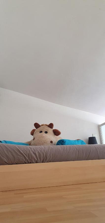 Joshroom Caux ภายนอก รูปภาพ